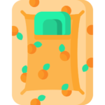 Kids Mattress & Cribs